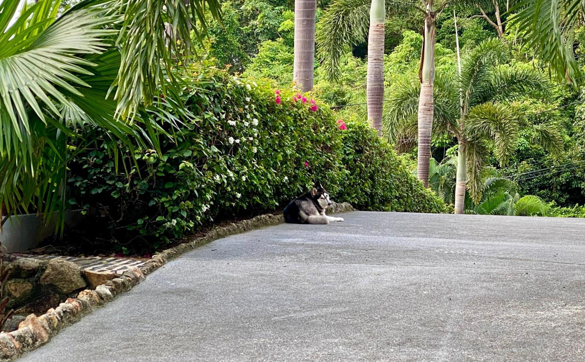 Ko Samui Seaview Pool Villa Seren With Car Laem Set Beach Zewnętrze zdjęcie